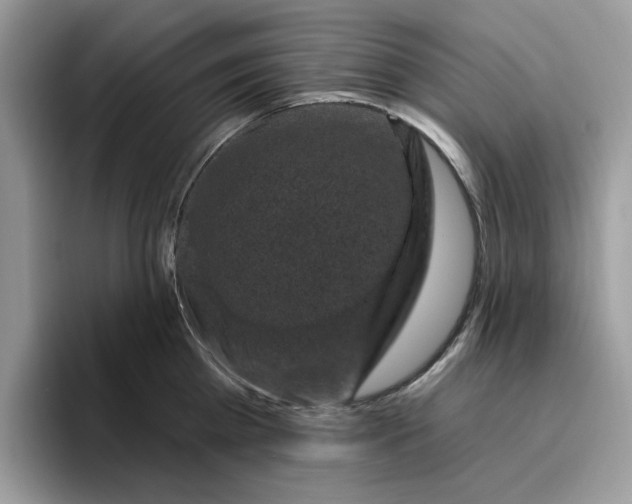 X0000095960809200801251149