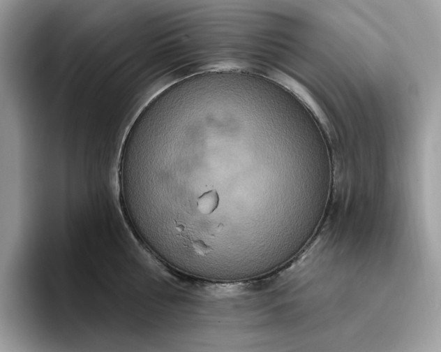 X0000095960810200801251149