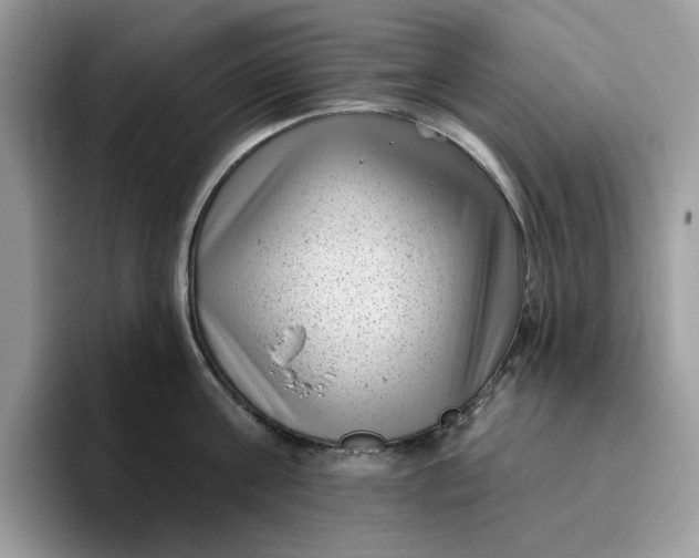 X0000095960811200801251149