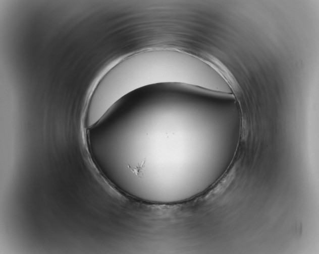 X0000095960812200801251149