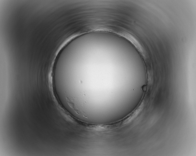 X0000095960814200801251149