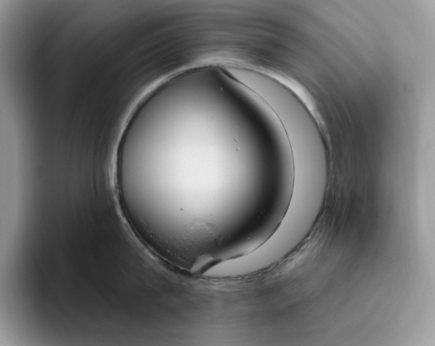 X0000095960815200801251149