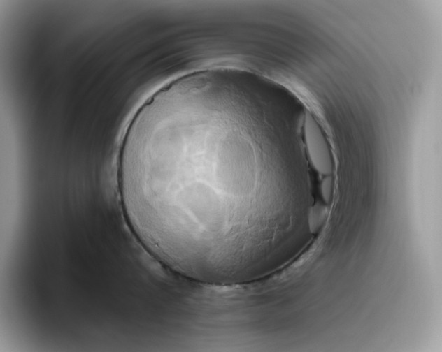 X0000095960816200801251149