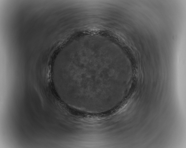 X0000095960818200801251148