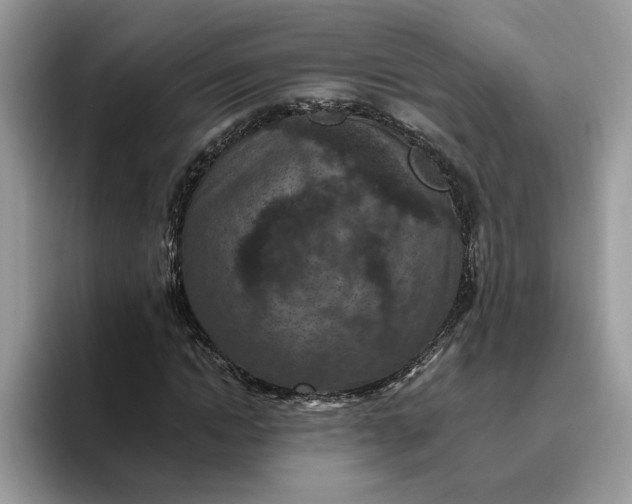 X0000095960822200801251148