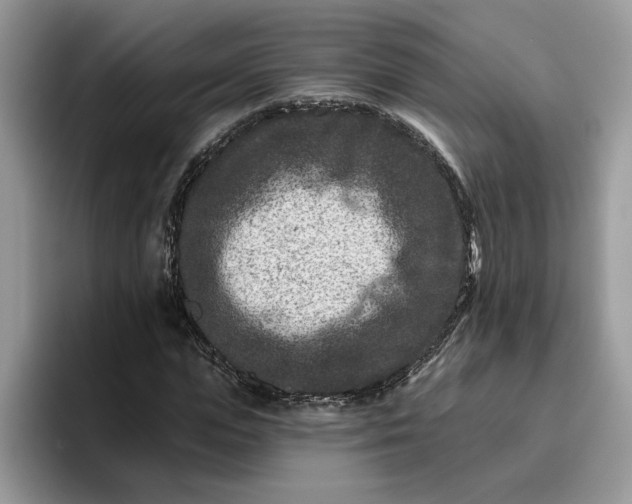 X0000095960823200801251148