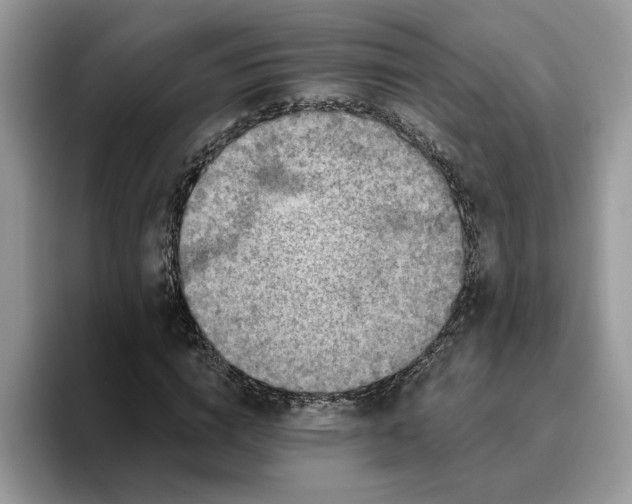 X0000095960824200801251148