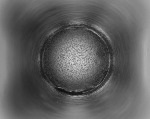 X0000095960825200801251148