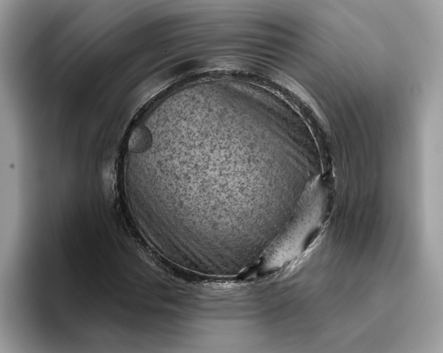 X0000095960826200801251148