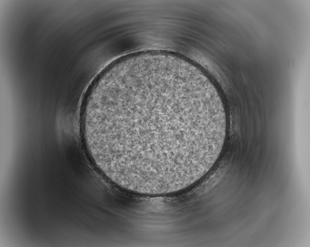 X0000095960828200801251148