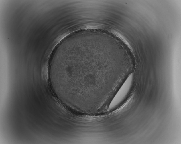 X0000095960829200801251148