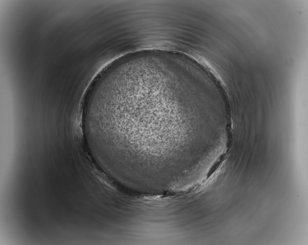 X0000095960830200801251148