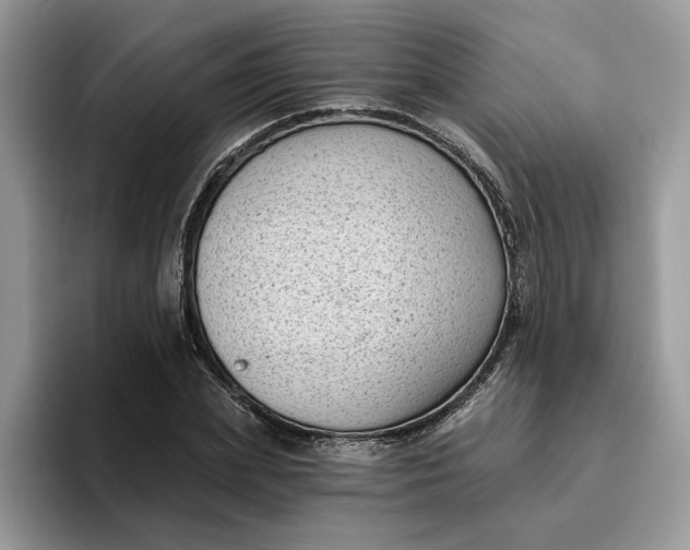 X0000095960831200801251148