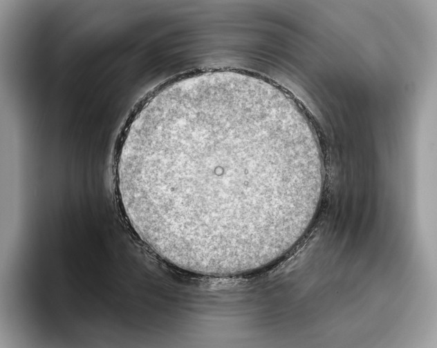 X0000095960832200801251148