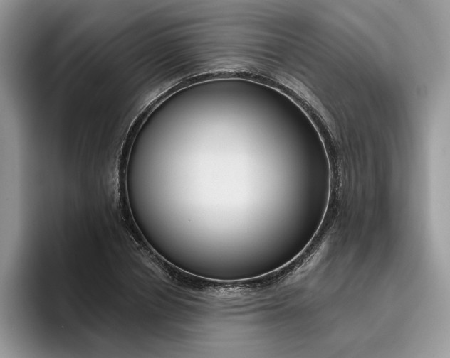 X0000095960834200801251148