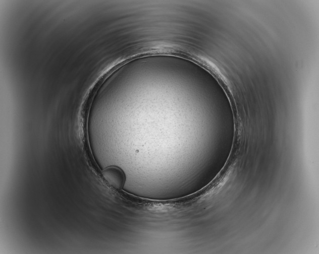 X0000095960835200801251148