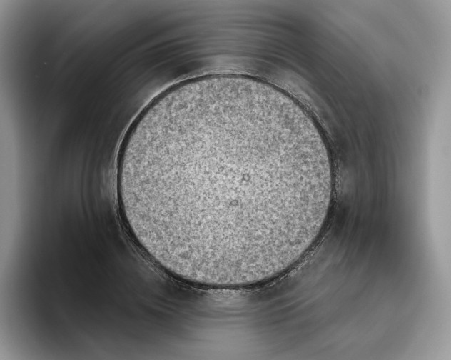 X0000095960836200801251148