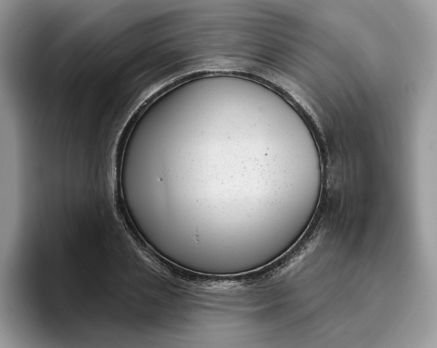 X0000095960837200801251148