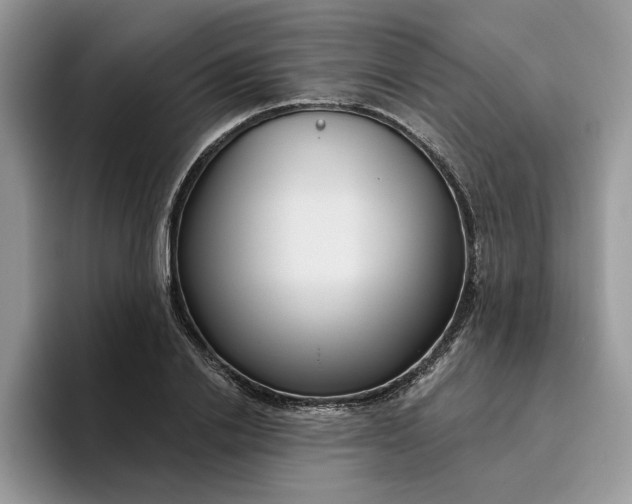 X0000095960838200801251148