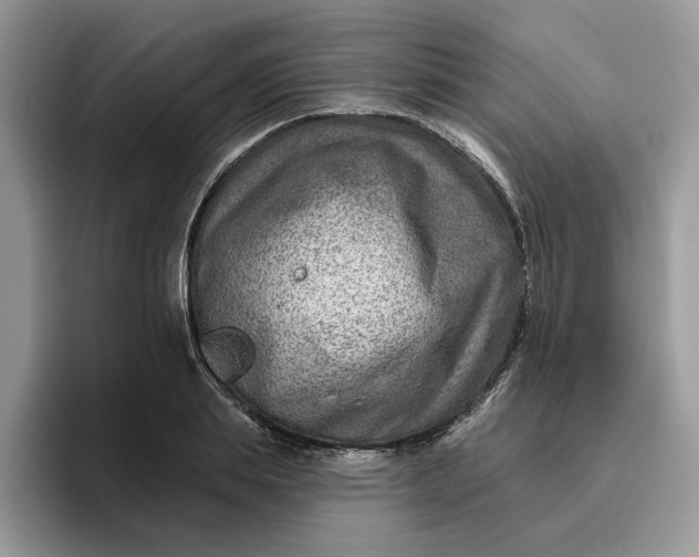 X0000095960839200801251148