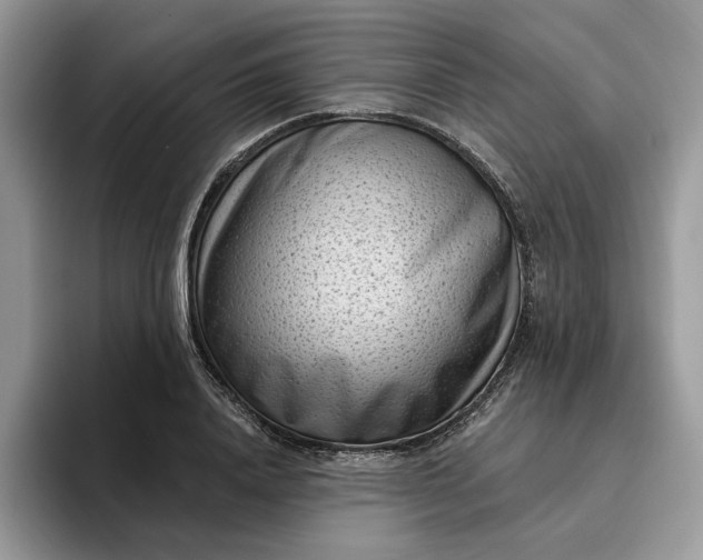 X0000095960840200801251148