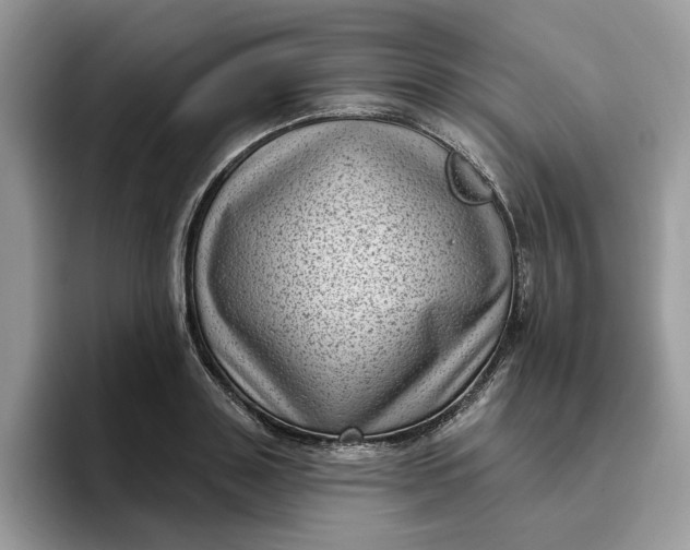 X0000095960843200801251148