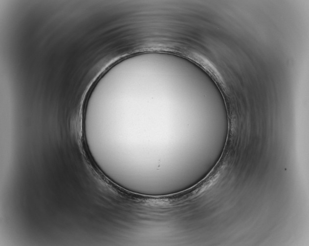 X0000095960844200801251148