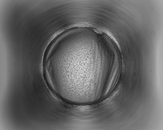 X0000095960845200801251148