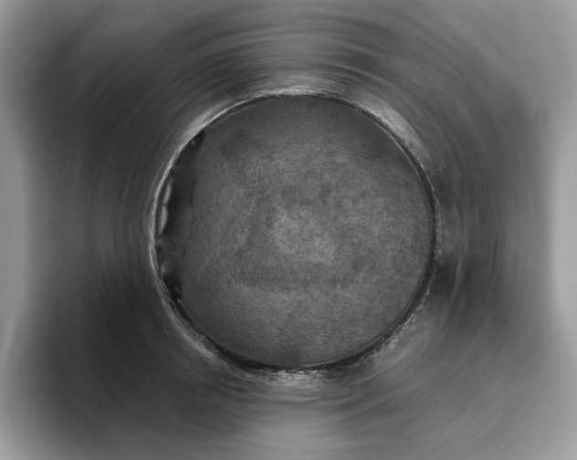 X0000095960850200801251148