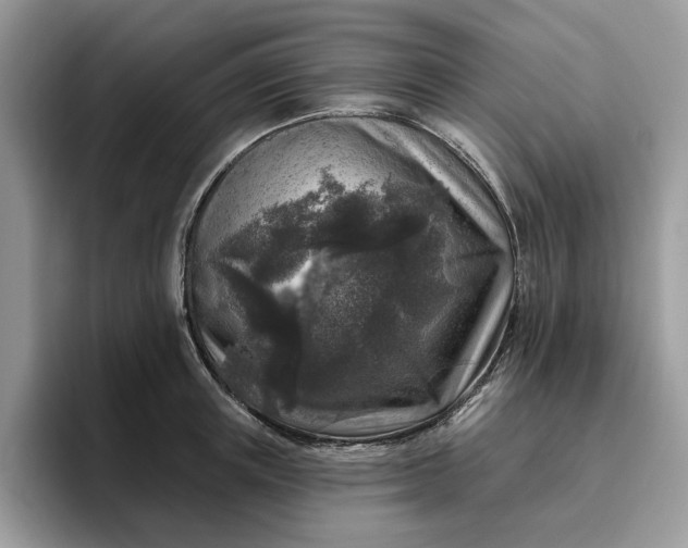 X0000095960851200801251148