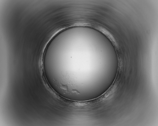 X0000095960852200801251148