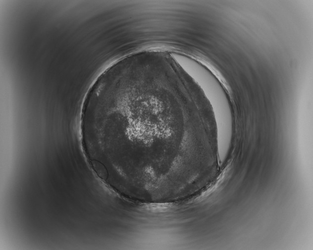 X0000095960853200801251148