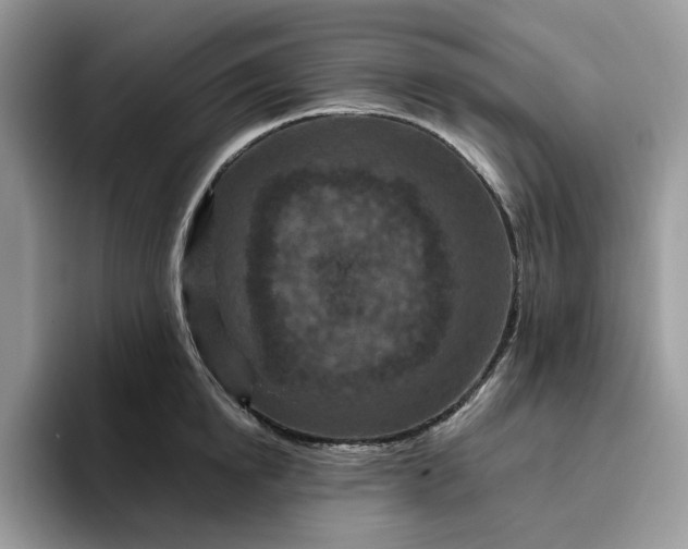 X0000095960854200801251148