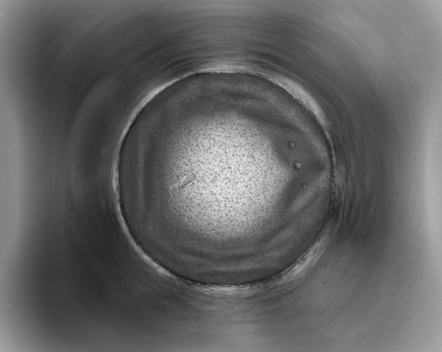 X0000095960855200801251148