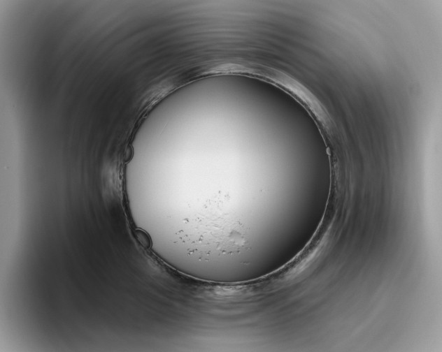 X0000095960857200801251149