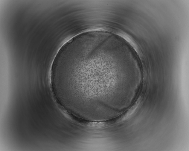 X0000095960858200801251149