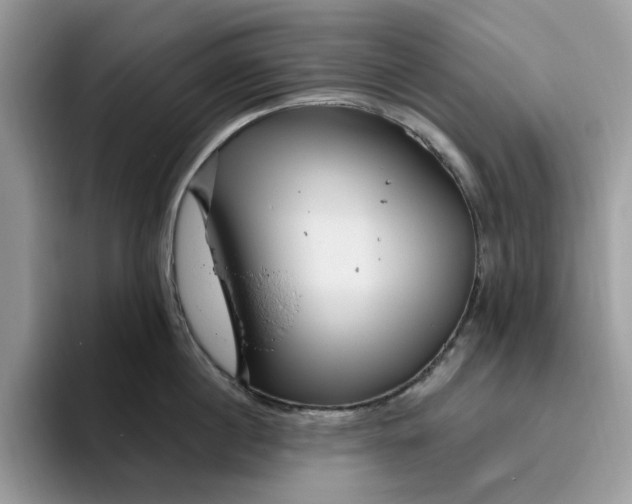 X0000095960860200801251149