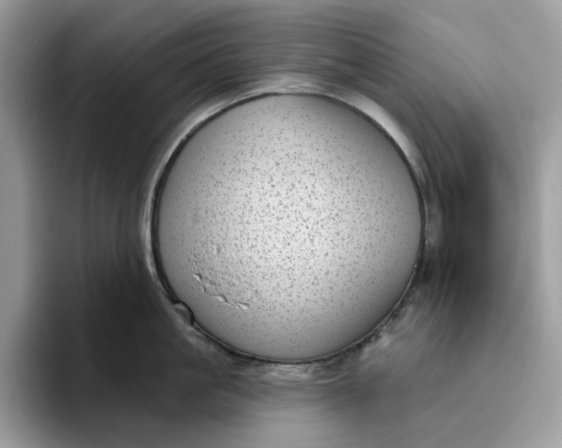 X0000095960861200801251149