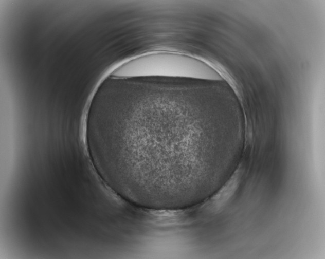 X0000095960862200801251149