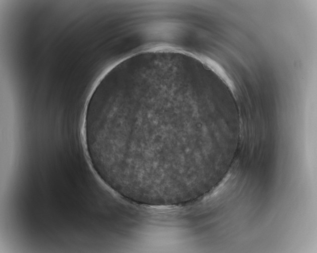 X0000095960863200801251149