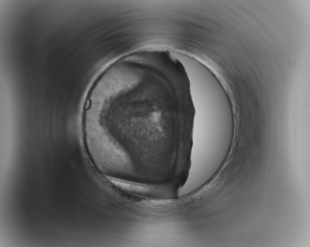 X0000095960864200801251149