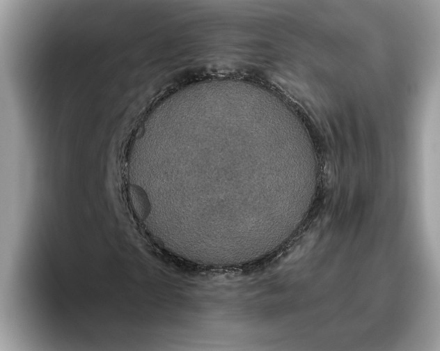 X0000095960865200801251148