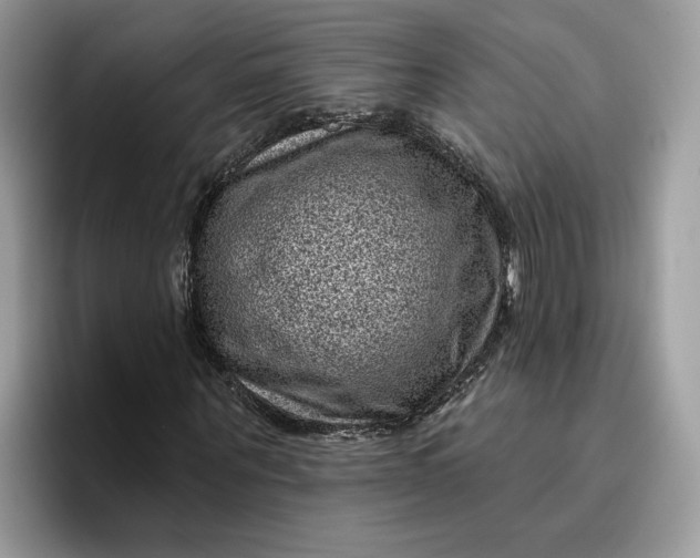 X0000095960867200801251148