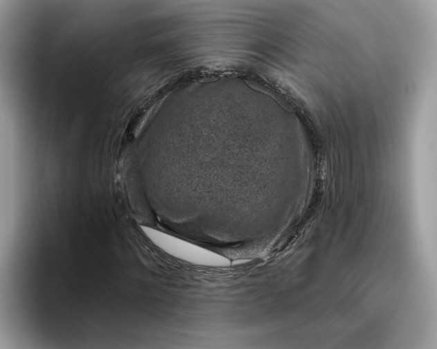 X0000095960868200801251148