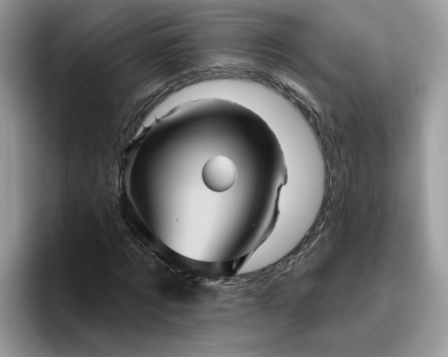 X0000095960869200801251148