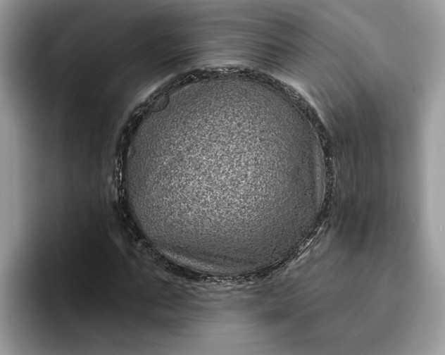 X0000095960871200801251148