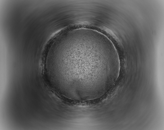 X0000095960872200801251148