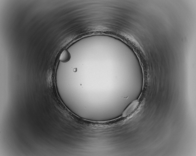 X0000095960873200801251148