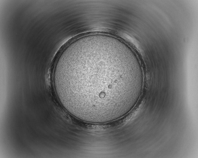 X0000095960875200801251148