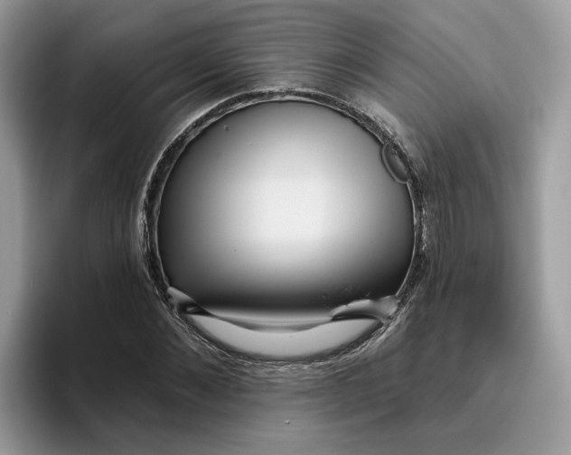 X0000095960876200801251148